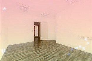 12月24日保险日报:险资面临再投资“资产荒”投资收益率或持续承压